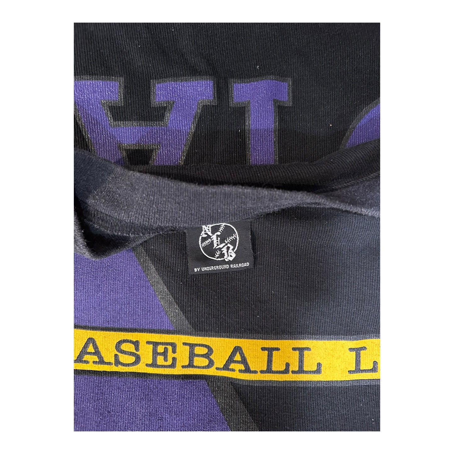 Vintage Negro League Baseball Detroit Sweatshirt